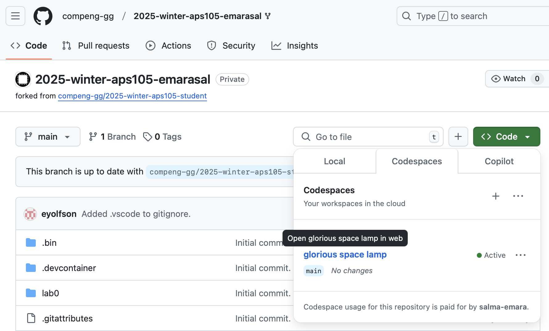 Existing codespace in your GitHub repository