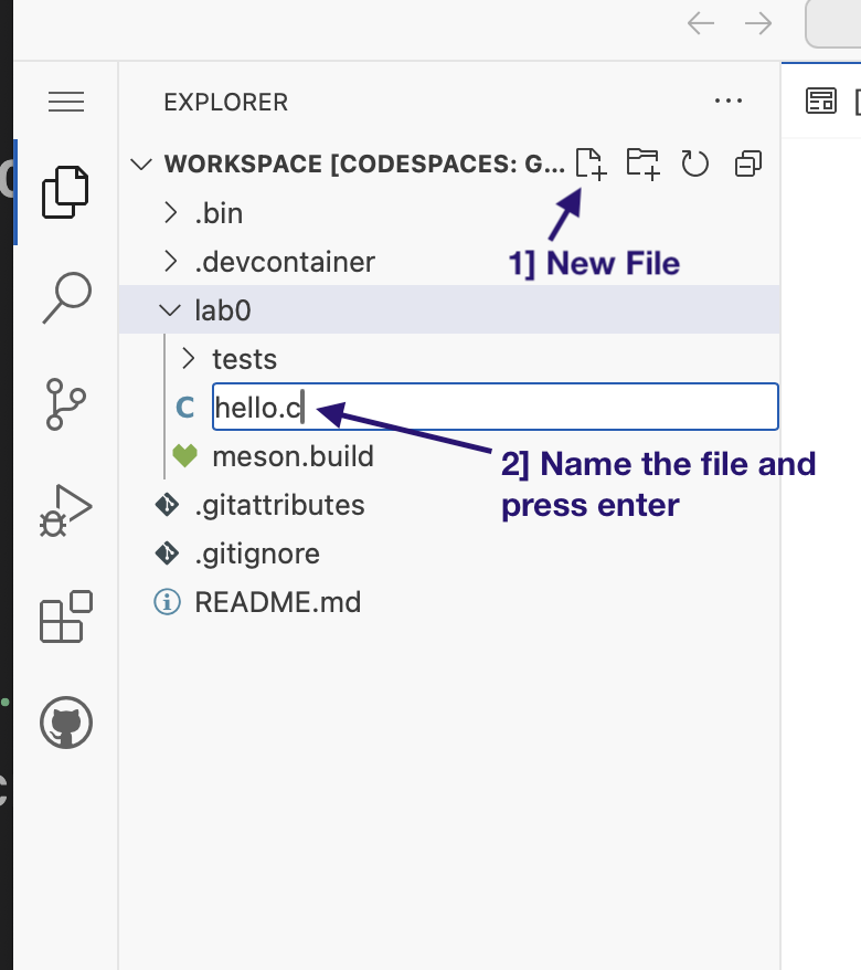 Directories in your repository